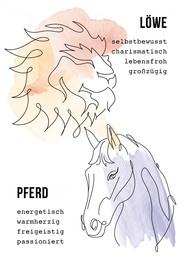 Löwe & Pferd – Bild 2
